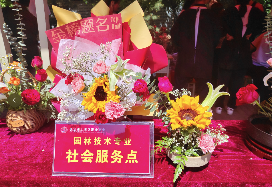 职业教育活动周盛况空前：展现多元化专业技能教学成果