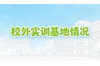 校外实训基地情况